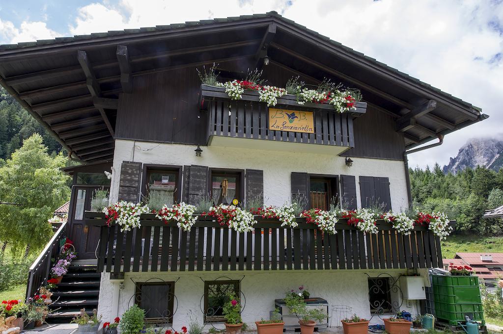 B&B La Genzianella Perarolo di Cadore Exterior foto