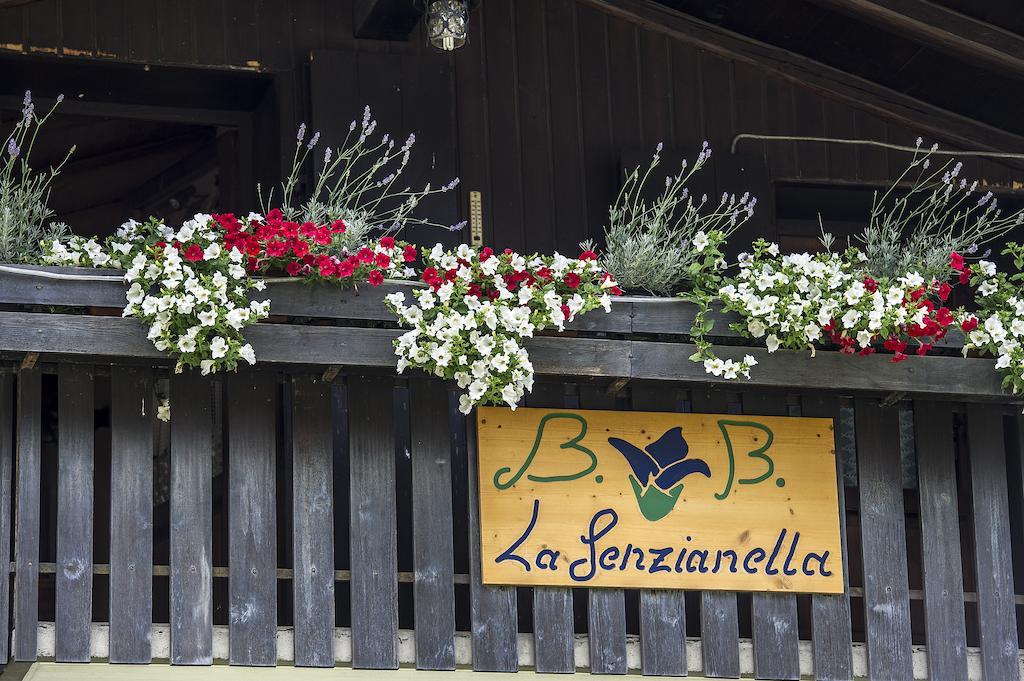 B&B La Genzianella Perarolo di Cadore Exterior foto
