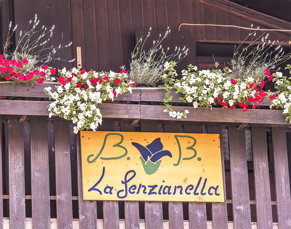 B&B La Genzianella Perarolo di Cadore Exterior foto